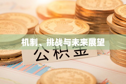 秦淮机制、挑战与未来展望