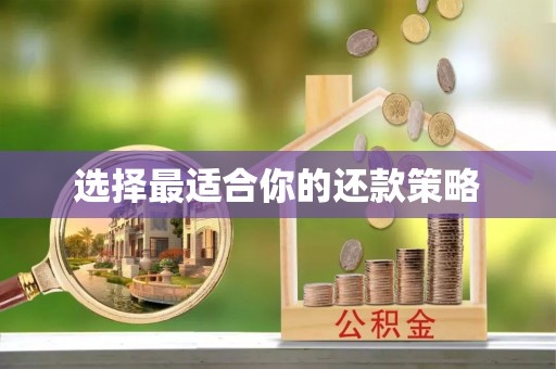秦淮选择最适合你的还款策略
